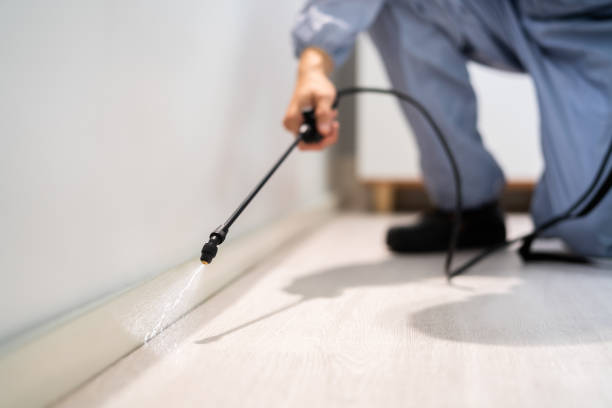 Licensed Pest Control service in Diamond Ridge, AK - Show Me Pest Control